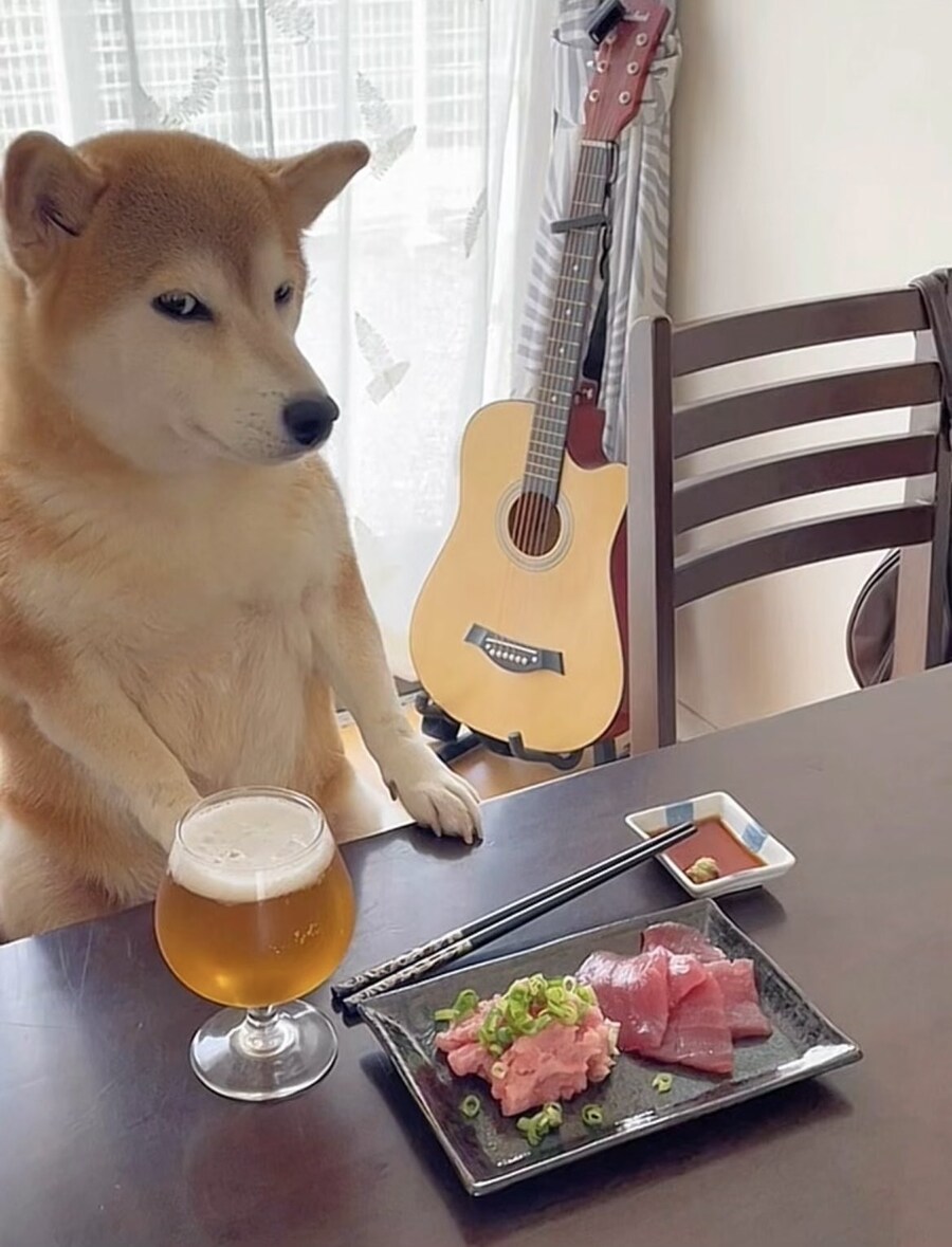무언의 압박.jpg_1.jpg