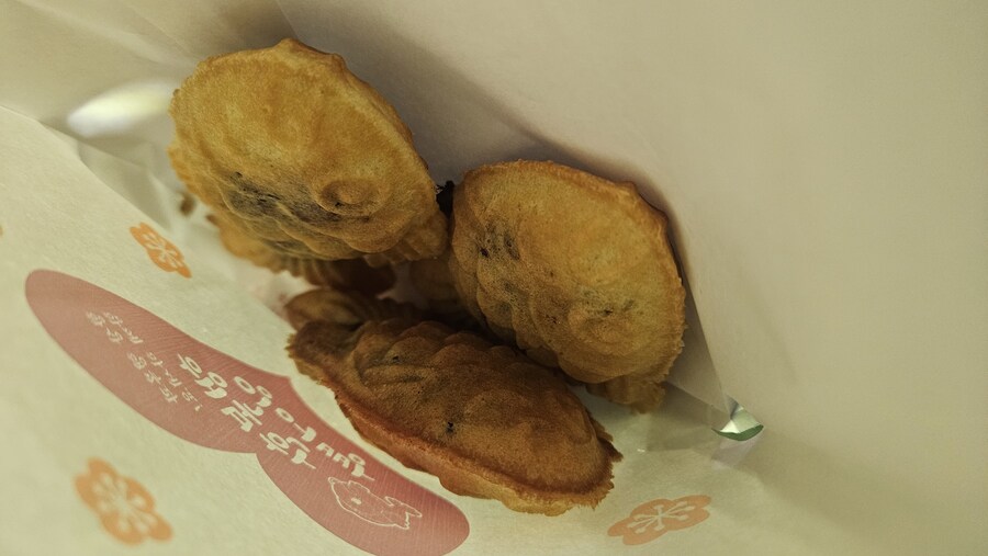 붕세권 시작됐네_1.jpg