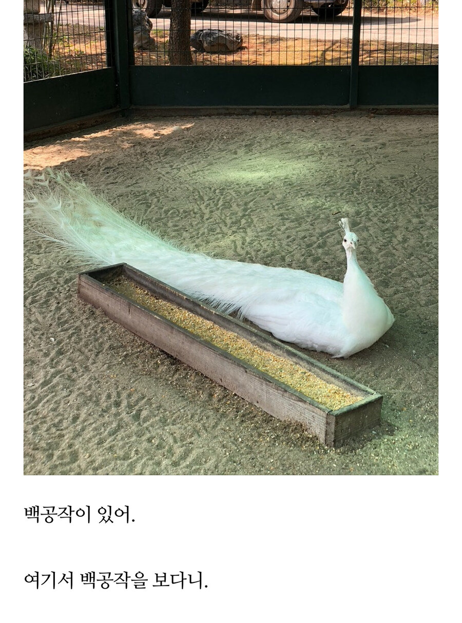 기묘한 온천 호텔 후기.jpg_5.jpg