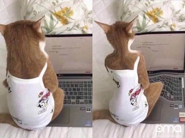 보정어플이 사기인 이유_1.jpg