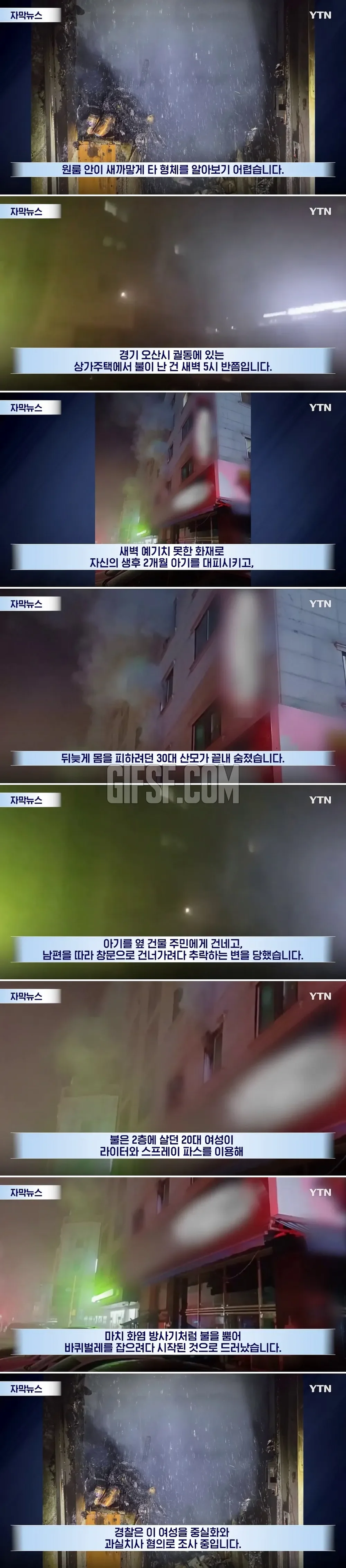 벌레 잡겠다고 에프킬라를
