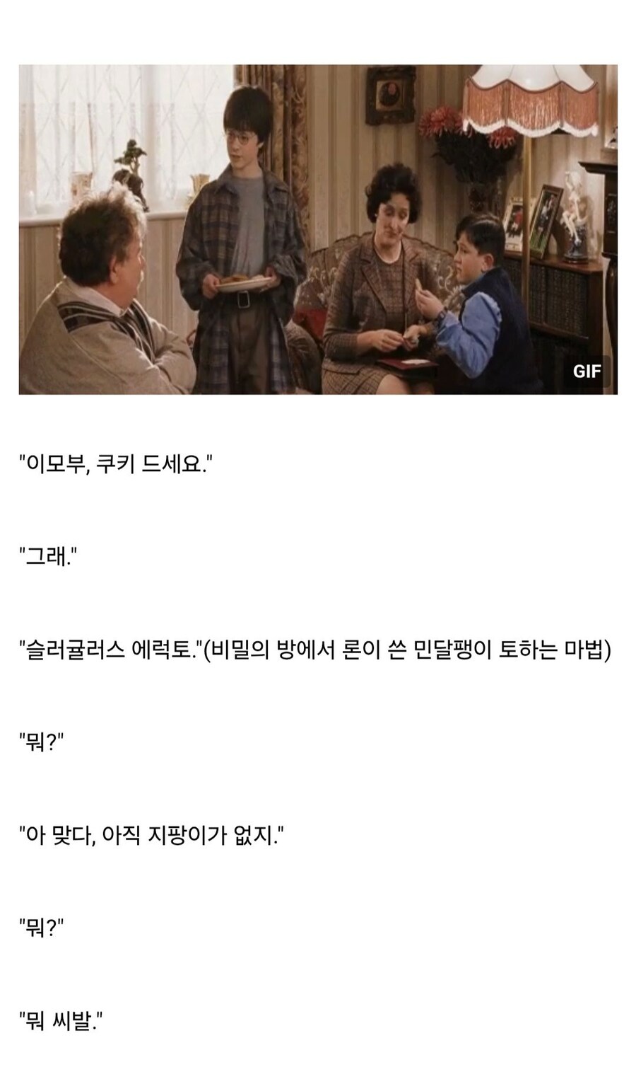 해리포터 회귀 후 스피드런.jpg_2.jpg