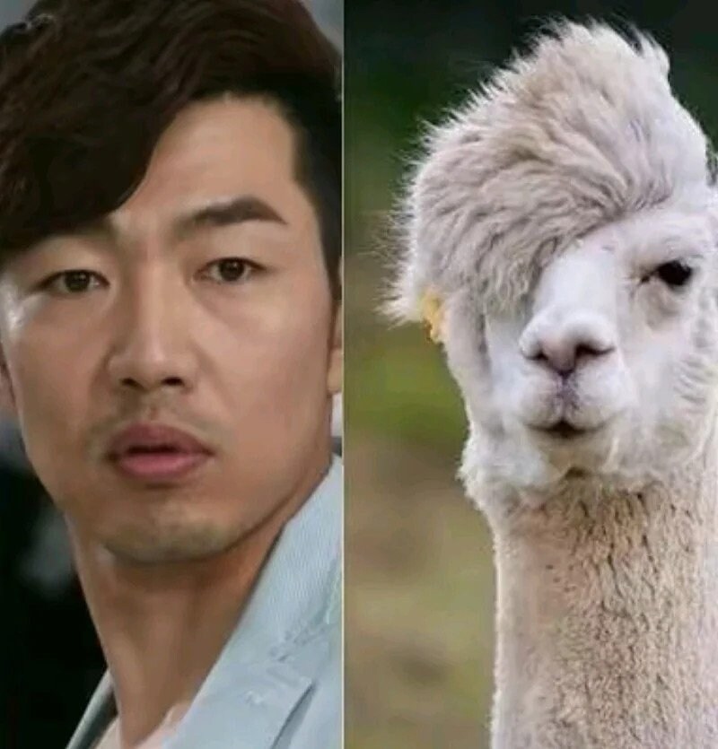 연예인 팬카페 영구강퇴짤들_10.jpg