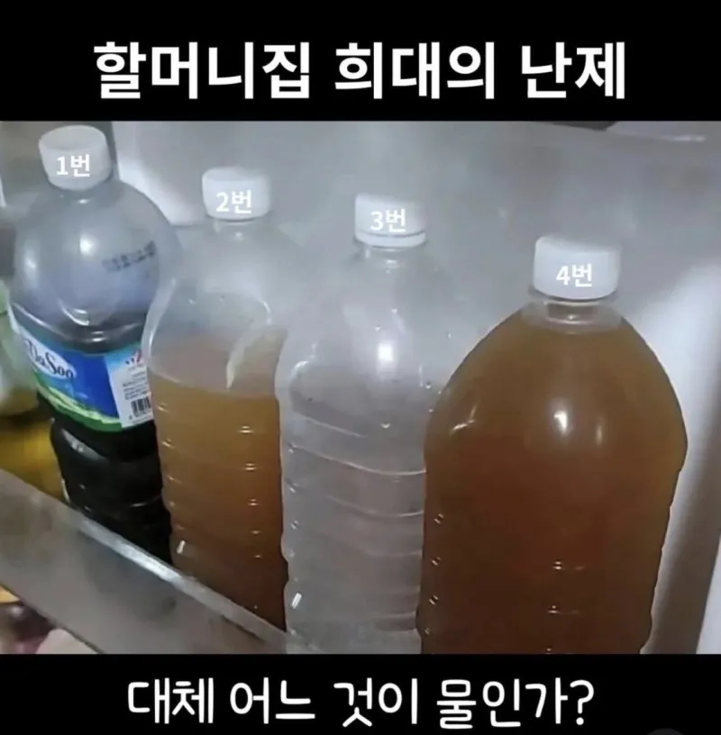 할머니집 희대의 난제_1.webp