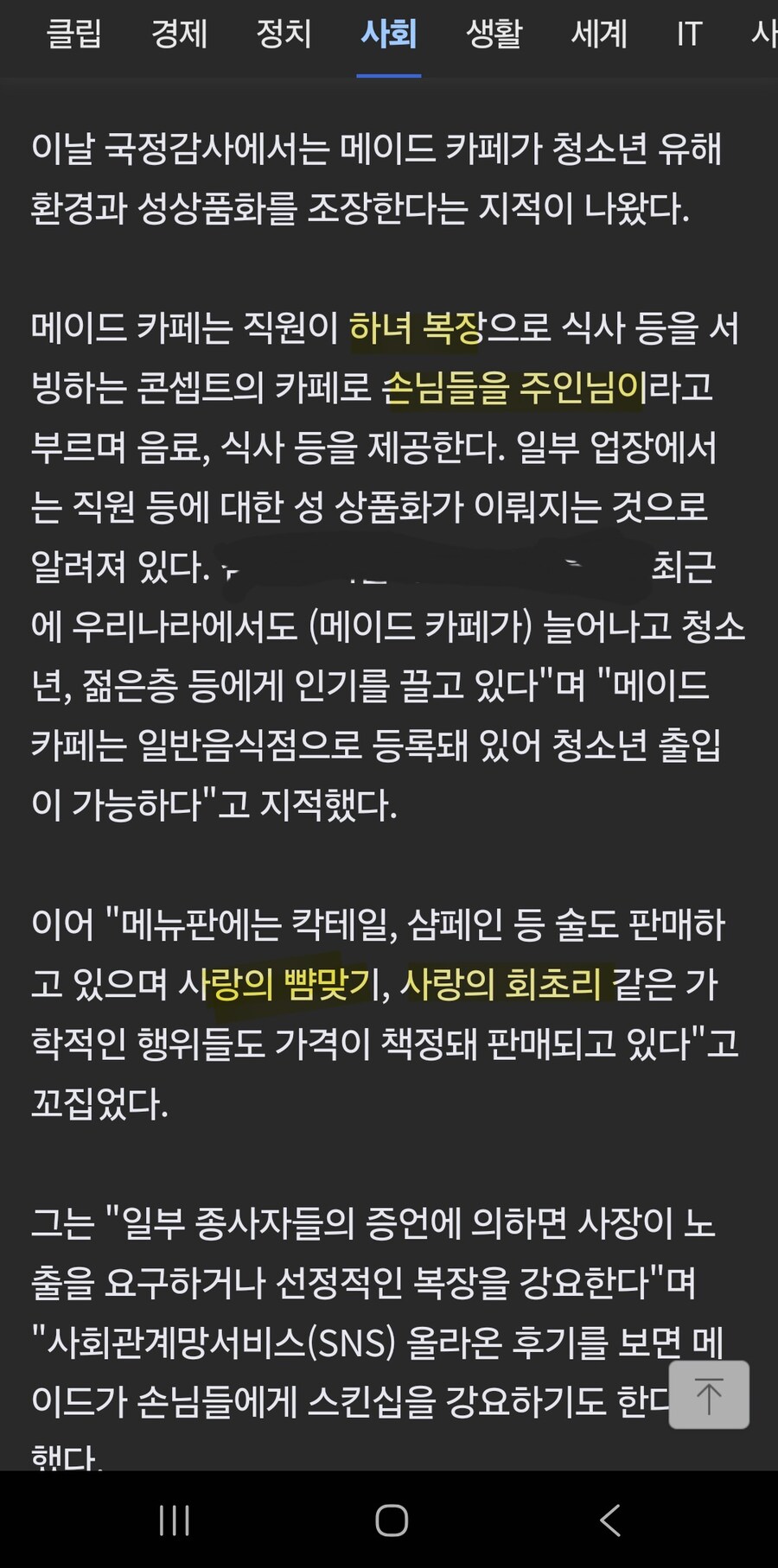 메이드카페 국정감사 실시_1.jpg