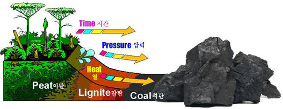 지구 온난화는 인류가 만든거 맞는이유_1.jpg