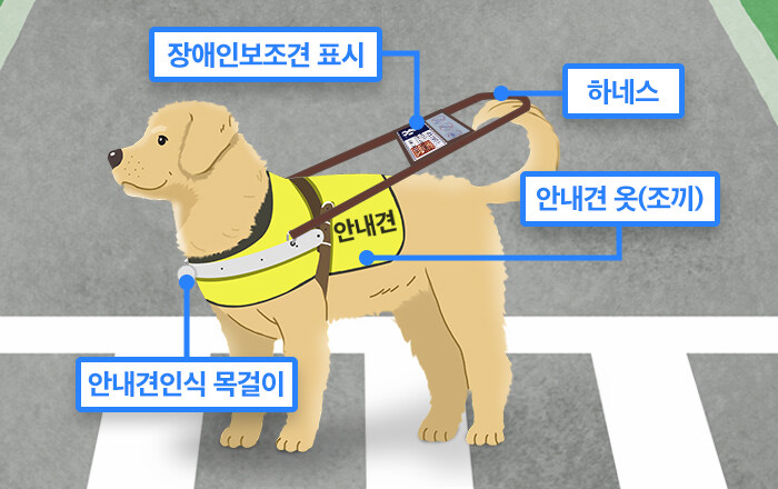 ???: 우리 개는 안 물어요_1.jpg