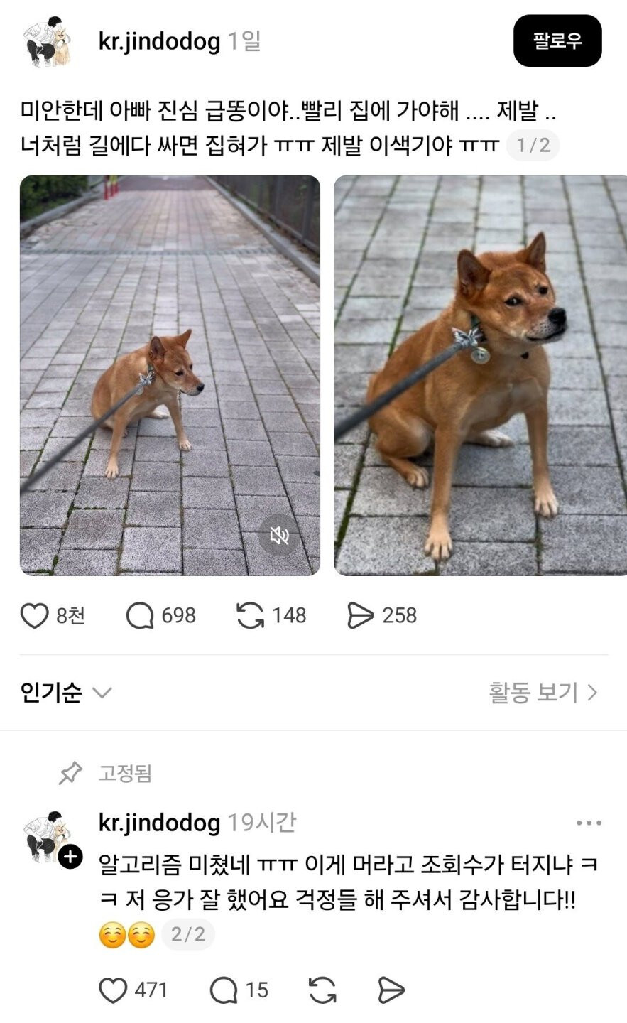 하필 그 타이밍에 말 안 듣는 애완견.jpg_1.jpg
