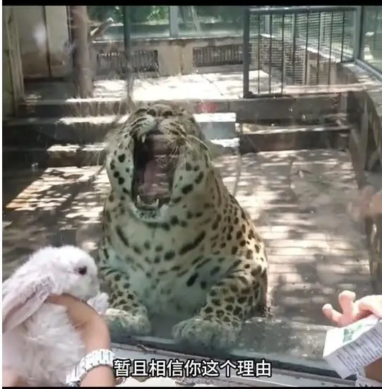민영화로 주민들을 돼지로 만듬...._3.webp