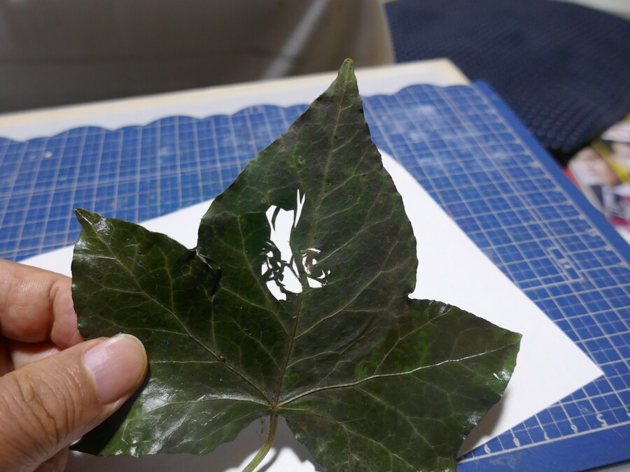 나뭇잎 잘라 그림 그리는 아트_9.jpg