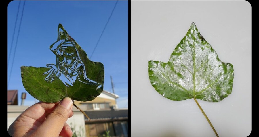 나뭇잎 잘라 그림 그리는 아트_17.jpg