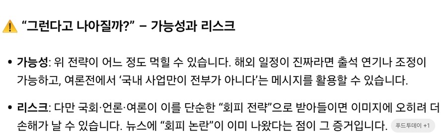 GPT가 분석한 백종원 국정감사 해외런 전략_4.jpg