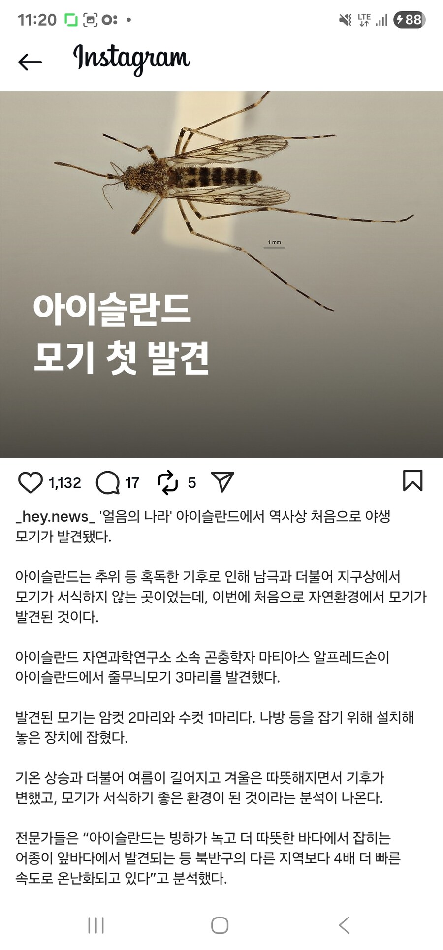 있어선 안될 생물이 발견되어 난리난 아이슬란드 상황_2.jpg