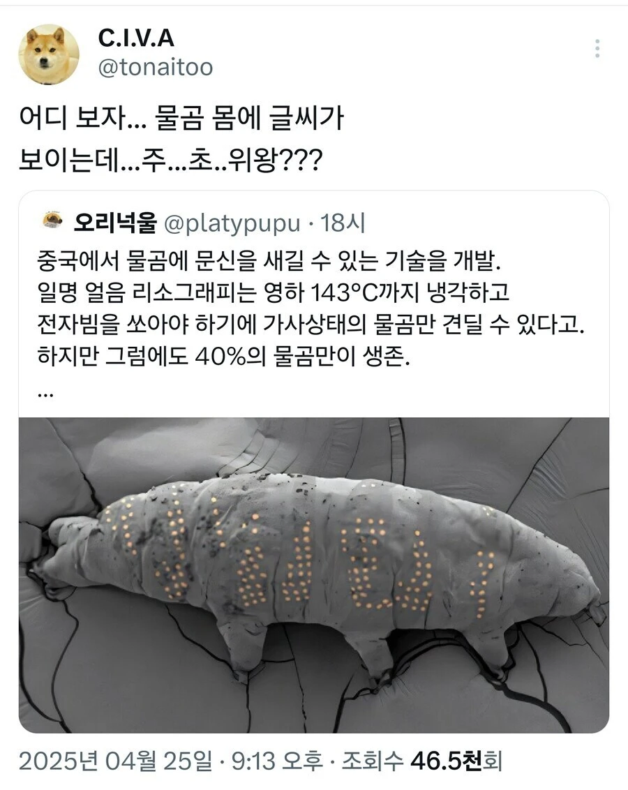 물곰몸에 문신해서 일어난 참사.jpg_1.webp