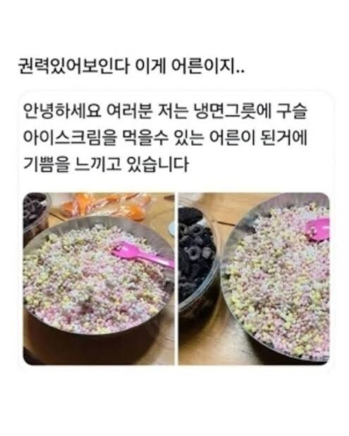 어른이 되면 할 수 있는것들_2.jpg