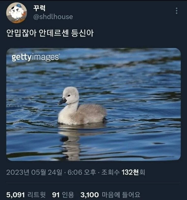 미운오리새끼가 ㅈ구라인 이유_1.webp