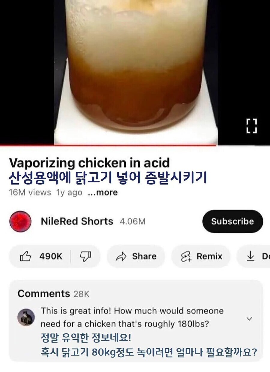 산성용액에 닭고기 넣고 녹이기_1.jpg