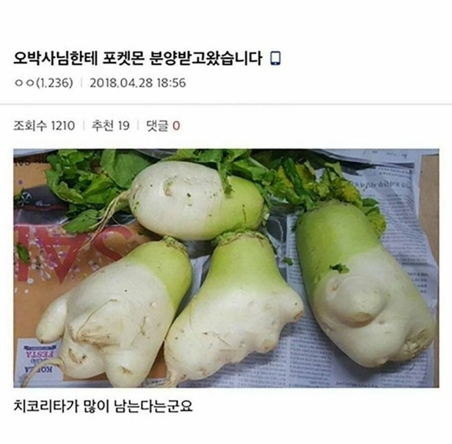 포켓몬 무료 분양_1.jpg