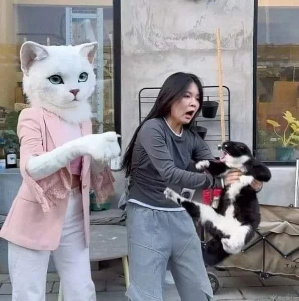 집사야 이건 악몽이다옹!_1.webp