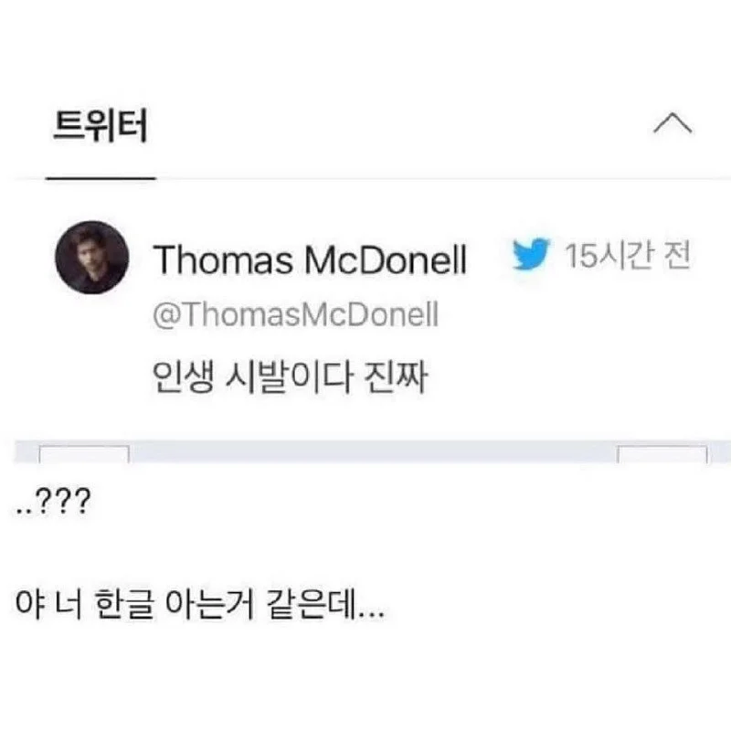 한글이 너무 이뻐서 아무 한글 트윗이나 쓴다는 미국인_5.webp