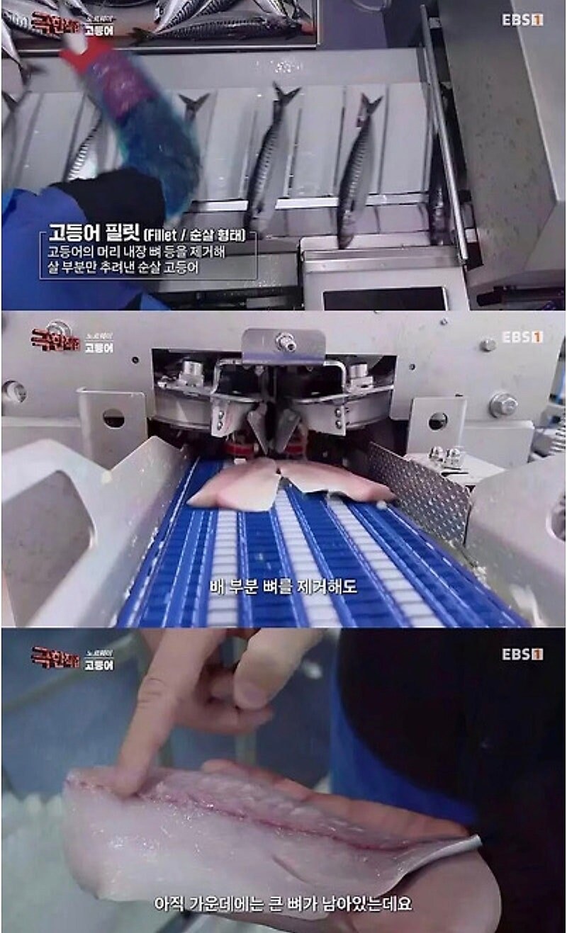 노르웨이 순살 고등어의 비밀_1.jpg