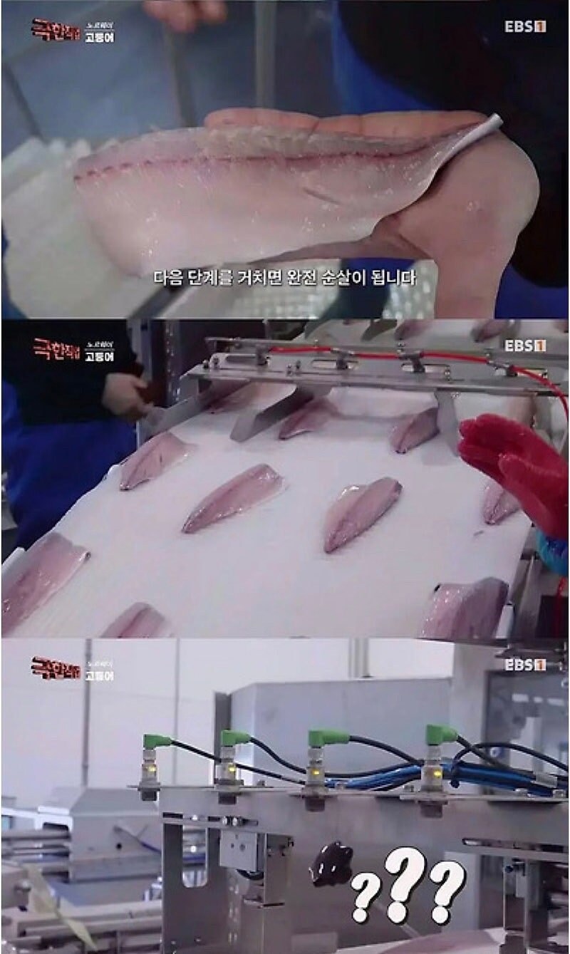노르웨이 순살 고등어의 비밀_2.jpg