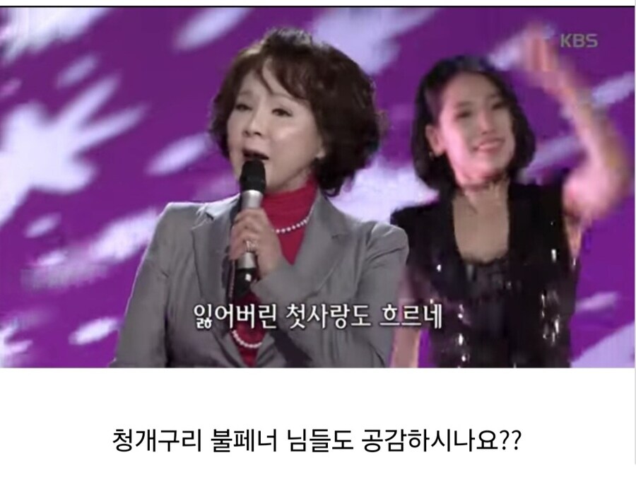 대한민국 성인 중에서 간첩 빼면 모르는 사람이 없는 노래.jpg_7.jpg