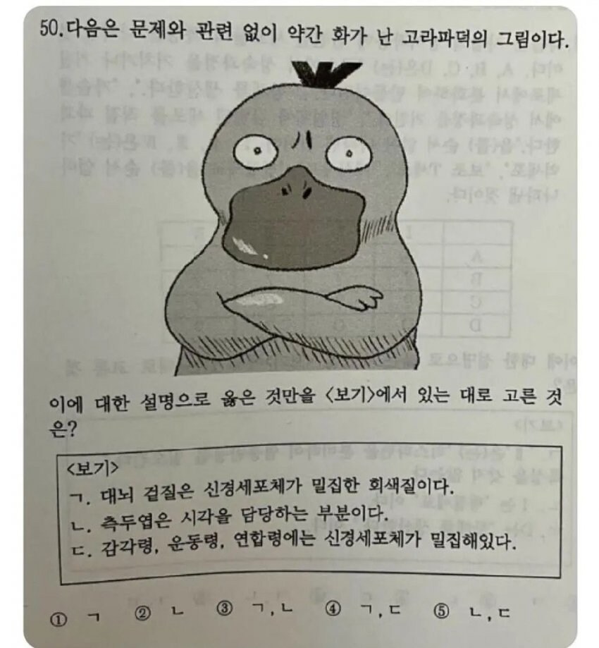 시험에 나온 고라파덕.jpg_1.jpg