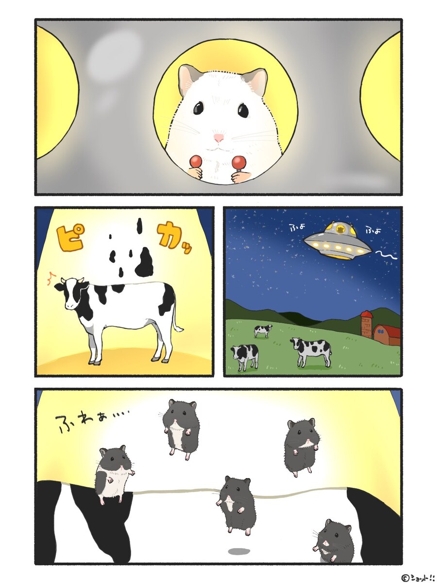 가축 무늬 납치_1.jpg