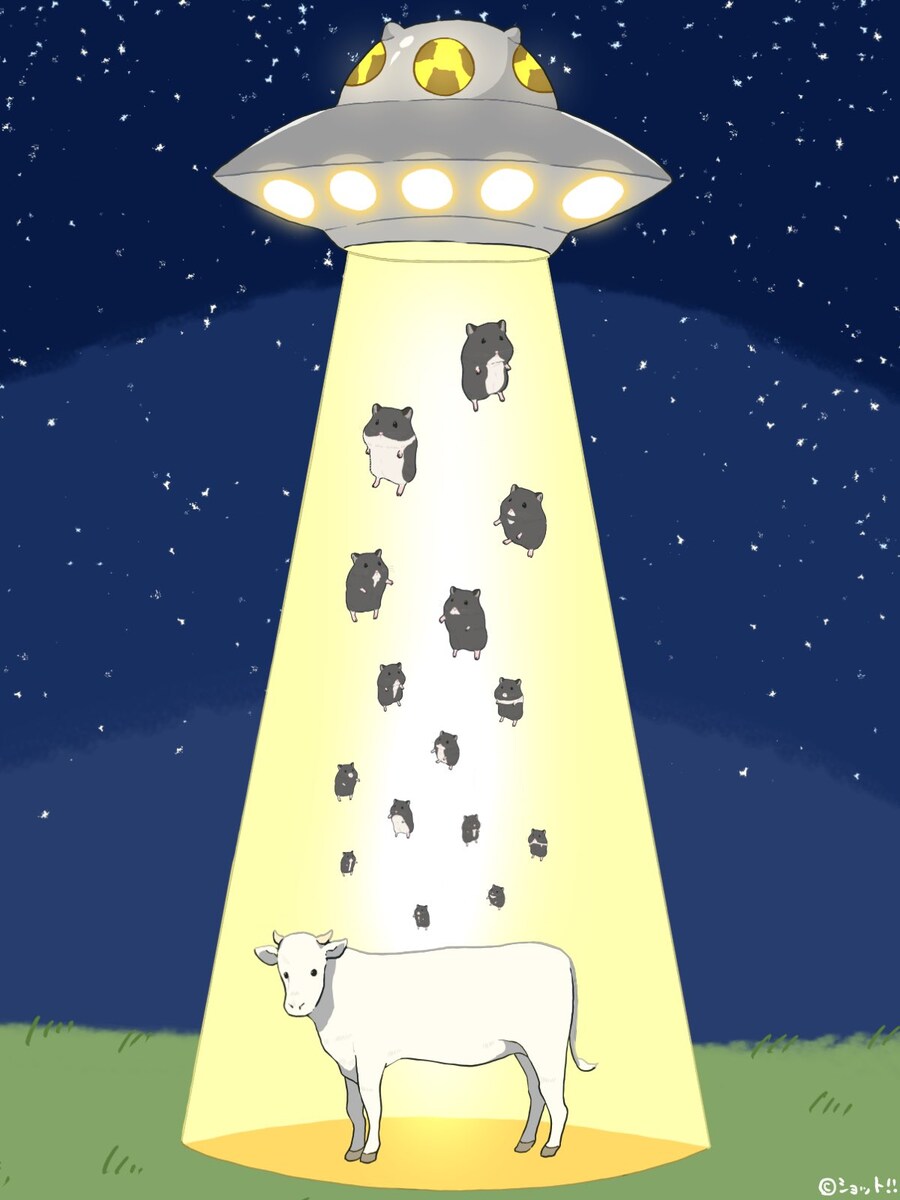 가축 무늬 납치_2.jpg