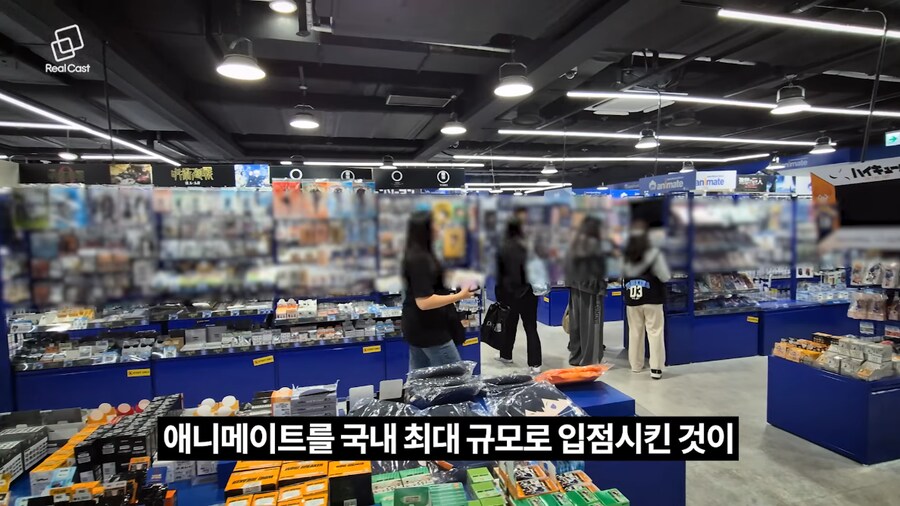 강하게 양지화되고 있는 서브컬쳐_10.png