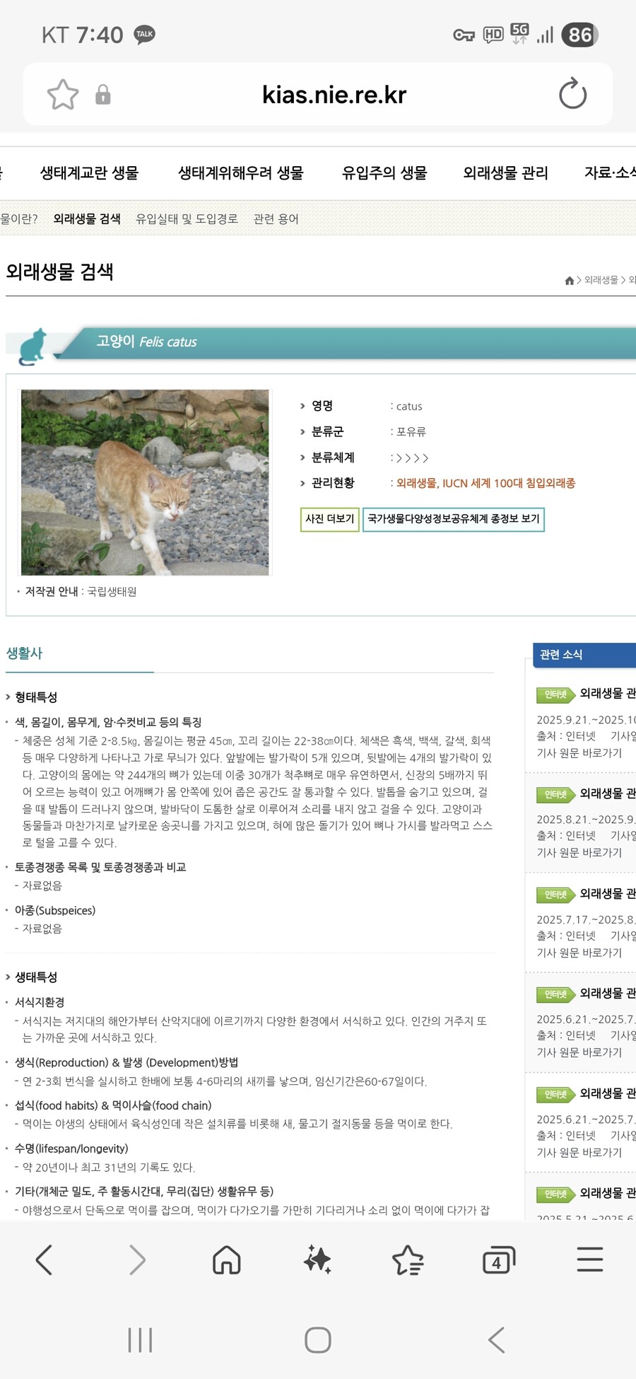 길고양이에 대한 모순_2.jpg