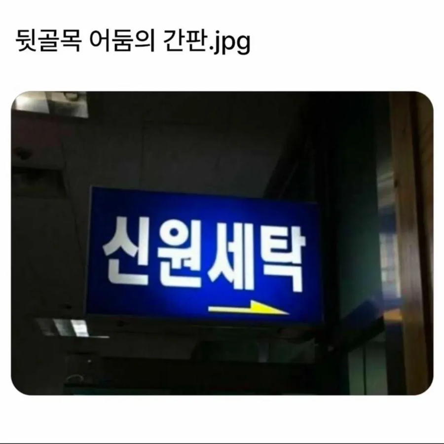 한국 뒷골목의 어둠의 간판들_1.webp