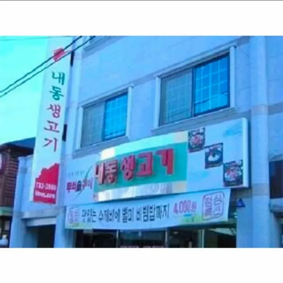 한국 뒷골목의 어둠의 간판들_3.webp