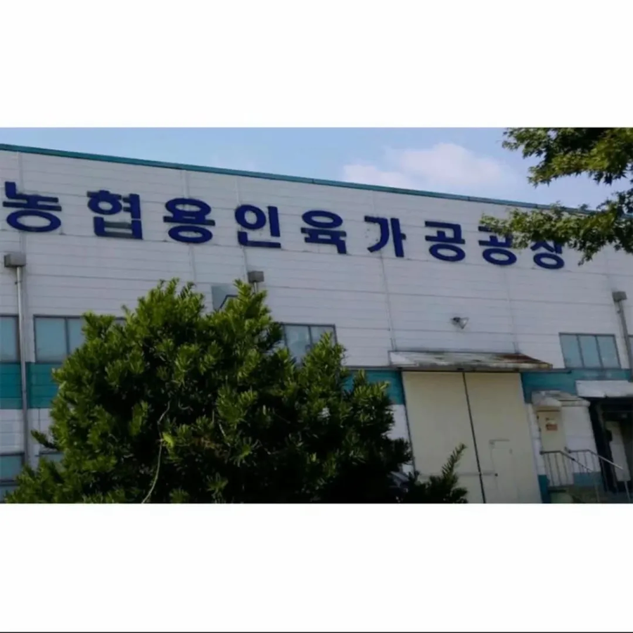 한국 뒷골목의 어둠의 간판들_4.webp