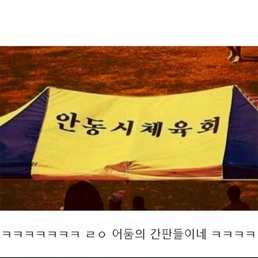 한국 뒷골목의 어둠의 간판들_8.webp
