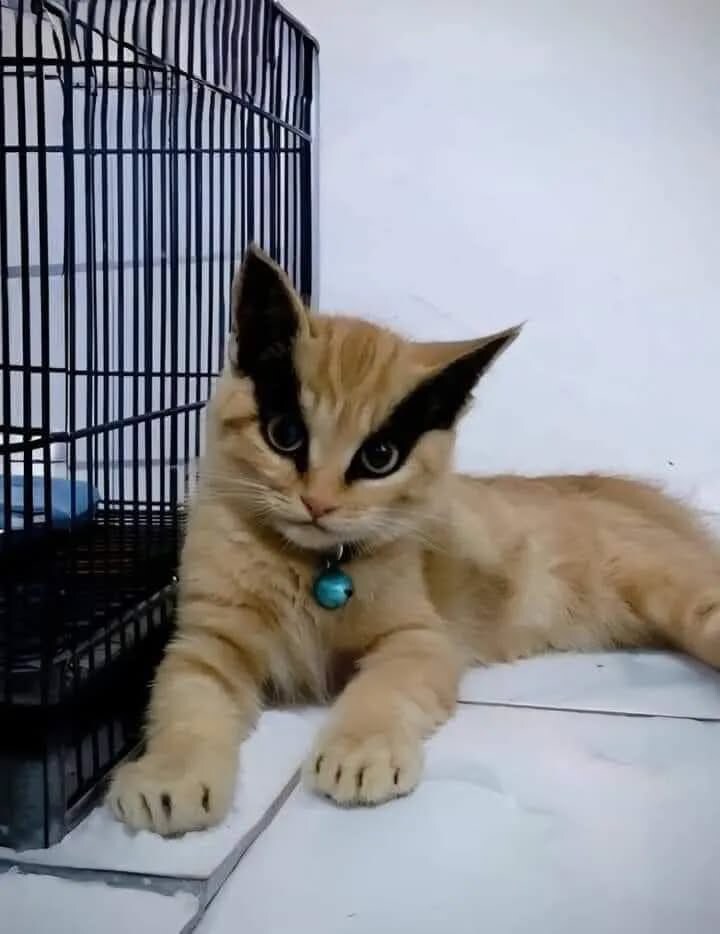 이 아이의 이름은