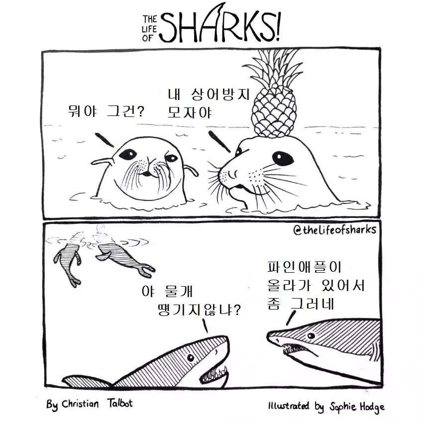 상어도 거르는 음식_1.jpg