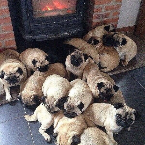 좋아하는 사람은 매번 가챠돌리는 심정으로 먹는다는 음식_1.jpg