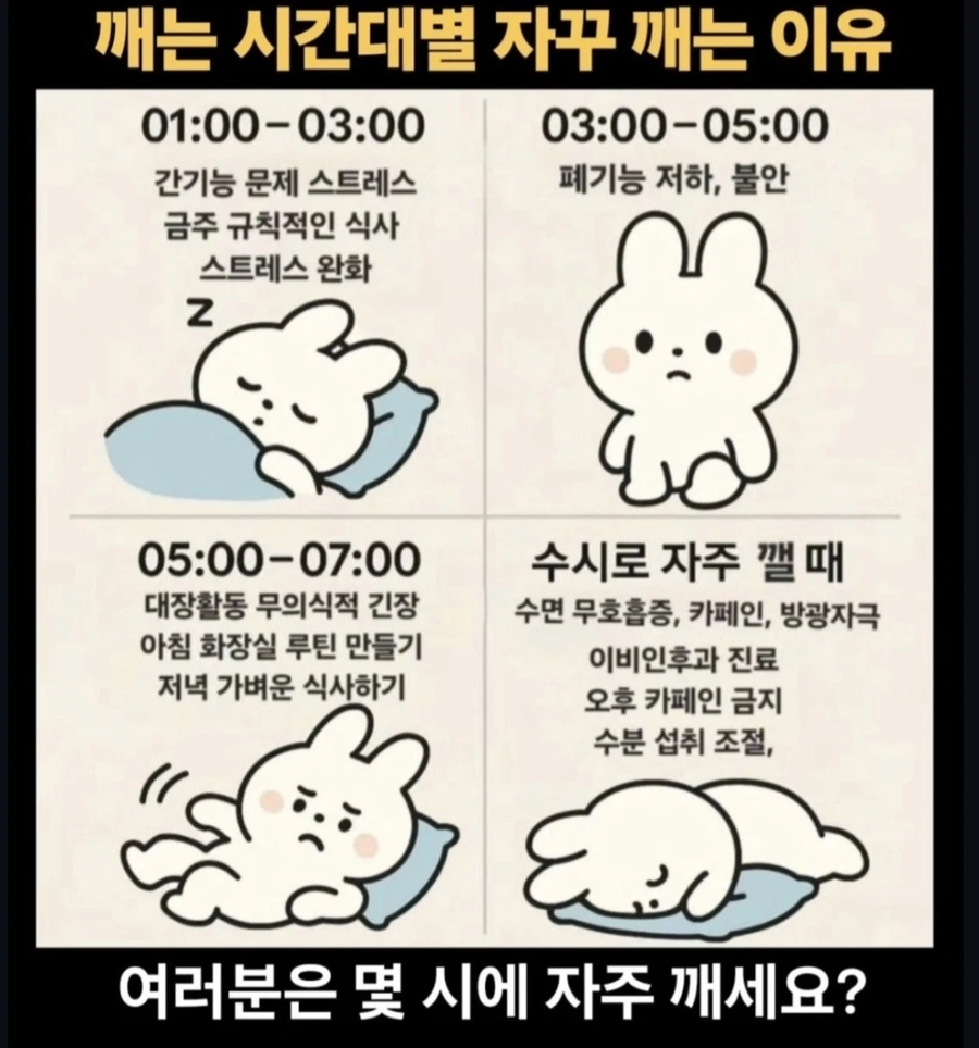 시간대별 자꾸 깨는 이유_1.webp