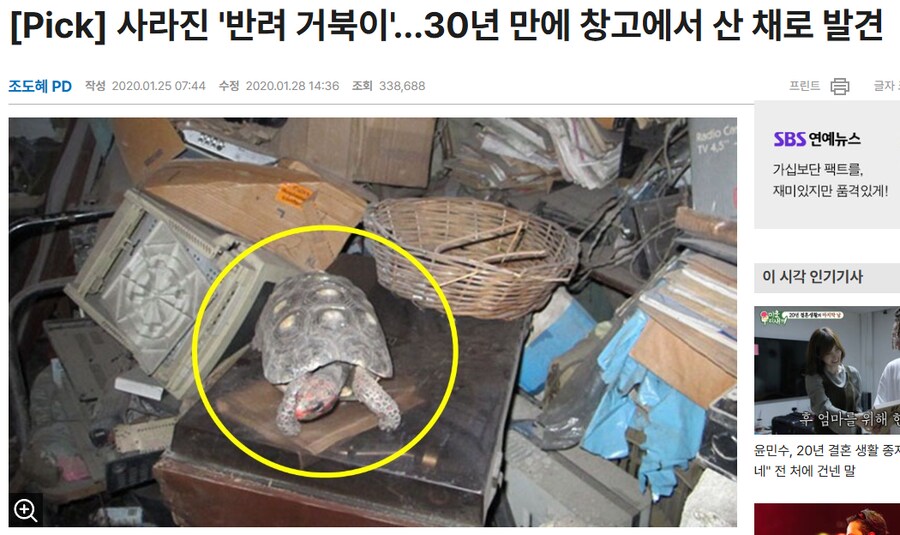 평생같이할거 아니면 키우지 말아야 되는 동물_1.png