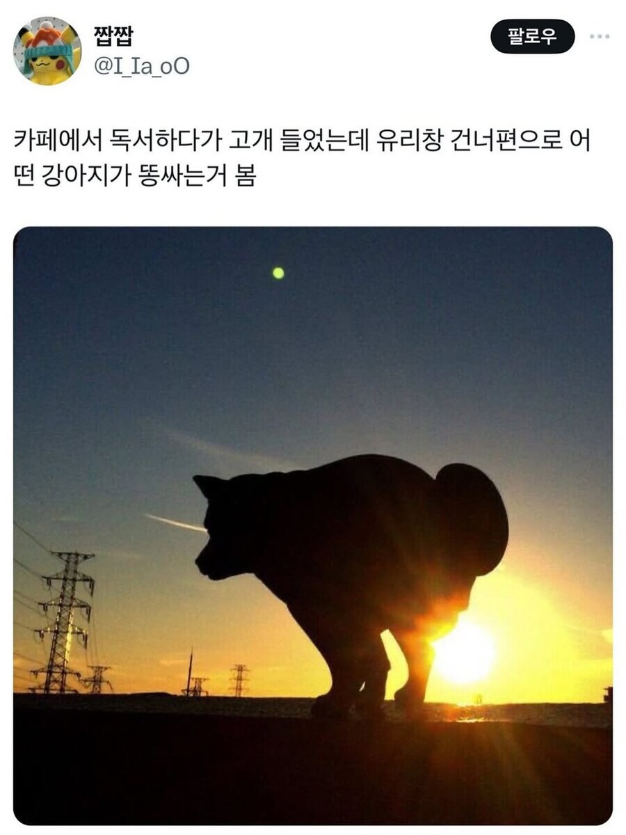 독서하다 우연히 마주친, 일상 속 눈부신 한 순간.jpg_1.jpg