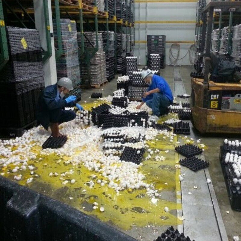 운수 나쁜 하루.jpg_6.jpg