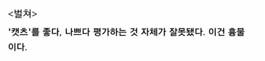 카제나를 좋다, 나쁘다 평가하는 것 자체가 잘못됐다._1.png