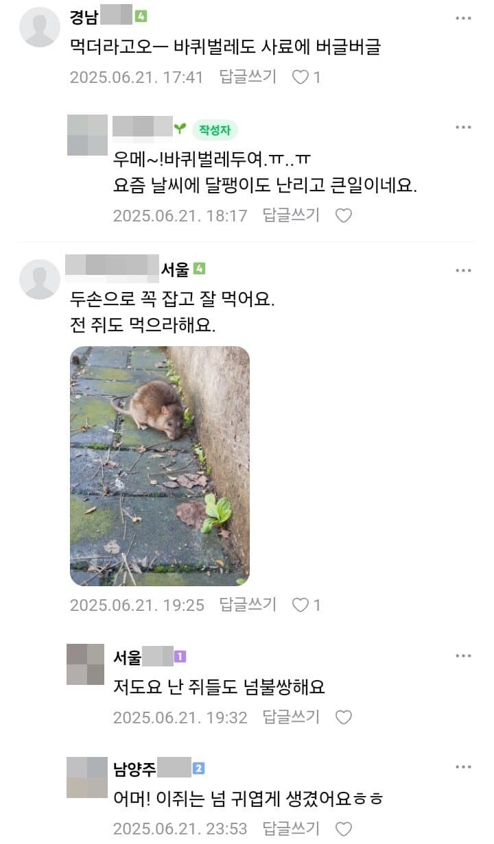 서울에서 쥐가 급증!_3.jpg