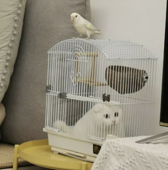 ??? : 나..나는 분명 『위』에 있었을텐데...! 어느새에에엣!!!_1.jpg