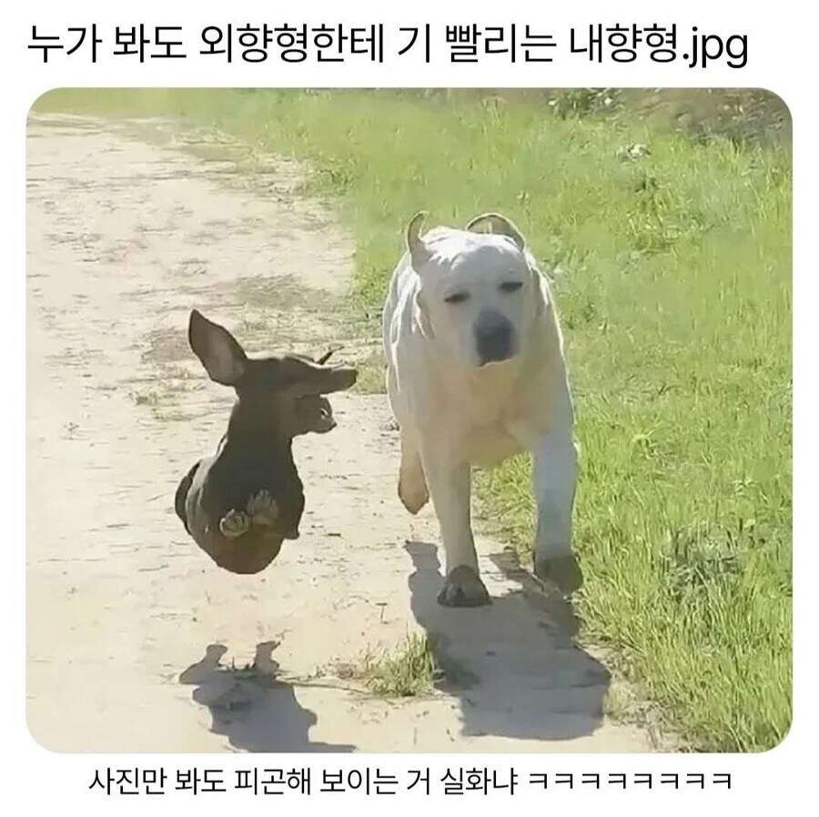 누가 봐도 외향형한테 기 빨리는 내향형_1.jpg
