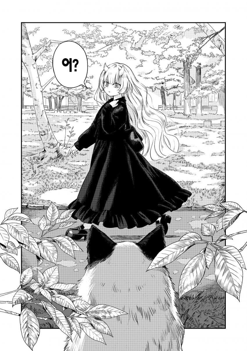 카레 삥뜯는 고양이.jpg_1.jpg