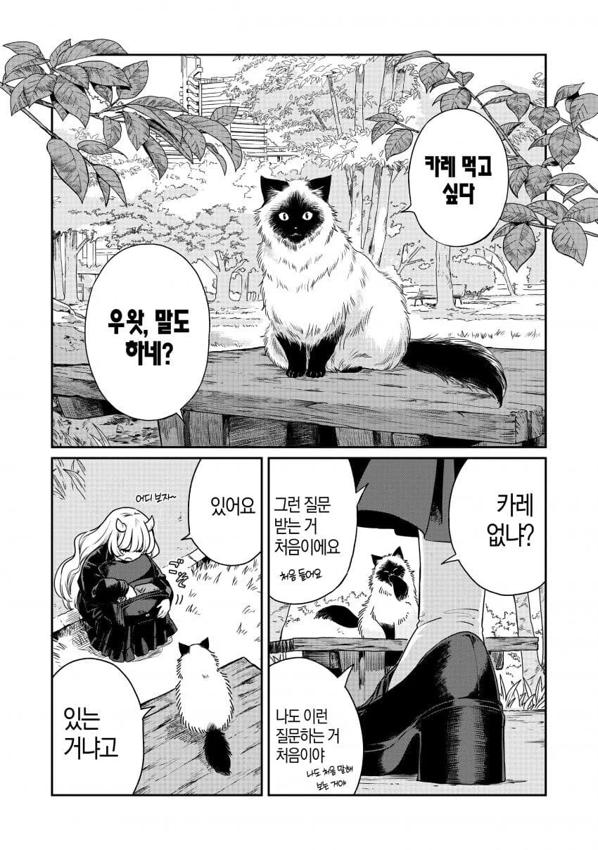 카레 삥뜯는 고양이.jpg_2.webp