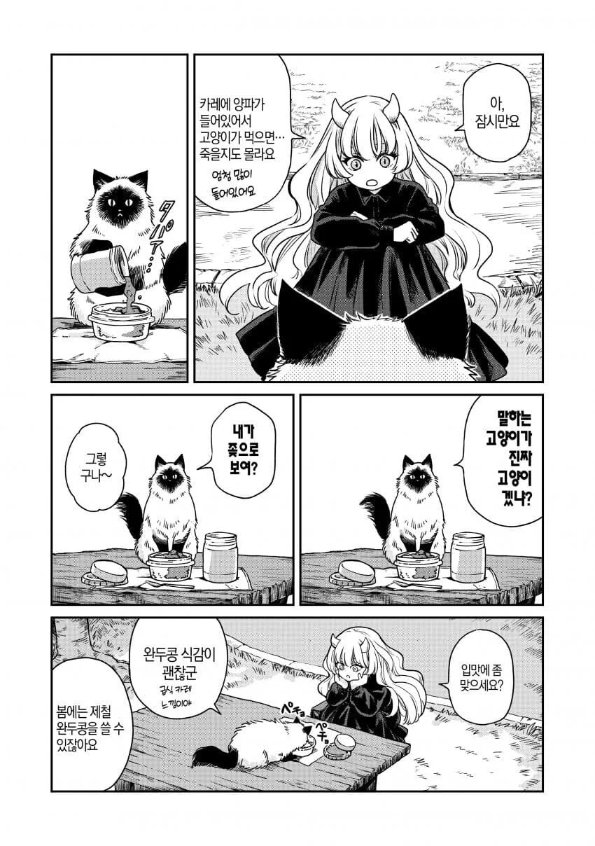 카레 삥뜯는 고양이.jpg_4.webp